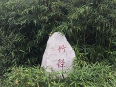 -莱西月湖公园