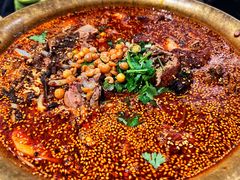 正宗成都冒烤鸭-张翻越·川渝冒菜·武汉黑鸭煲(城北万象城店)