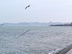 -悦海公园