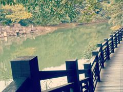 -白马涧龙池景区