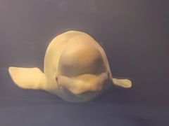 -大连圣亚海洋世界