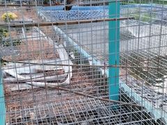 -美家乐农庄·露营·团建(大治路店)