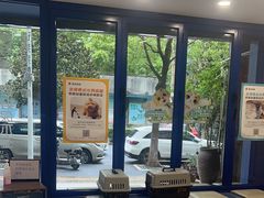 -伟伟宠物医院·CT影像中心·瑞派犬猫综合性门诊(汉口总院)