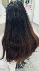 -木马造型