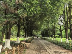 -云南民族村