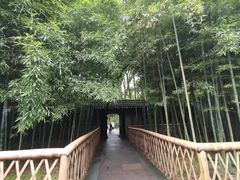 -天一阁博物院