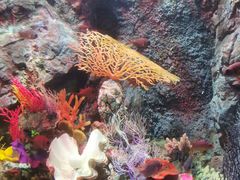 -太平洋海底世界