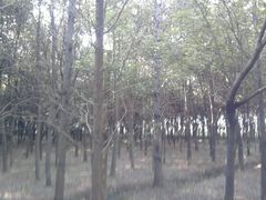 肖甸湖-同里国家湿地公园