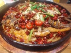 -老板恋上鱼(印象城店)