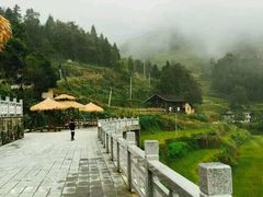 -紫鹊界梯田景区