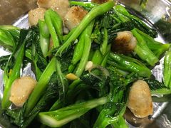 -石岐乳鸽村(南海第三分店)