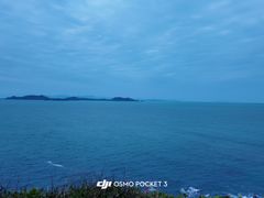 -杨梅坑