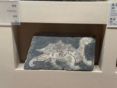 -敦煌市博物馆