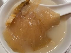 砂锅响螺鸡煲翅-金悦轩海鲜酒家(银河店)