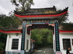 -王顺山国家森林公园