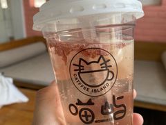 -喵屿·大理花园猫咖