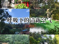 -广州市流溪河国家森林公园