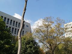 -南京航空航天大学(将军路校区)