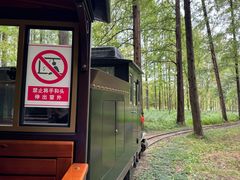 -黄海国家森林公园