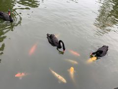 -深圳野生动物园