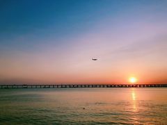 -宝安西湾红树林湿地公园