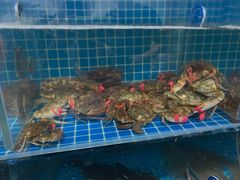 -宾朋海鲜特色美食餐厅·纯手工鲅鱼水饺(兴海路店)