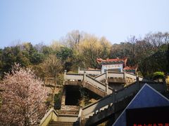 -青龙山公园