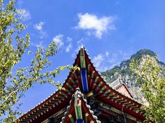 -王莽岭风景区