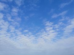 -春花秋色城市公园