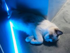 -零纪元VR体验馆·桌游(黄浦店)