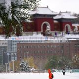 沈阳冬天的第一场雪｜大雪让沈城变成了盛京