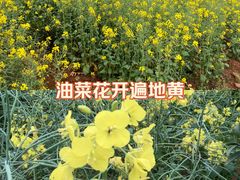 -千龙湖生态旅游度假区