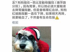 -瑞派申生动物医院·24H夜诊·国际动物医疗中心·骨外科(吴中路店)