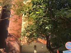-香港理工大学