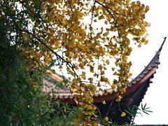 -西园寺