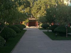 -文瀛公园