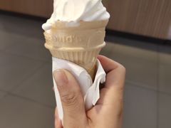-麦当劳(驿坂服务区B区店)