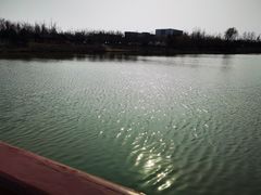 -东郊湿地公园
