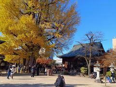 -医王山·飞騨国分寺
