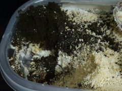 -苹果花园(鞍山路店)