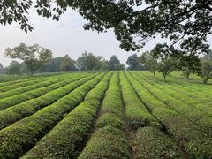 -敬亭山风景名胜区