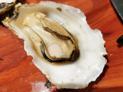 -千岛蚝高压锅生蚝·人参火锅(白云万达店)