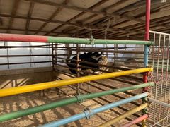 -南宫五洲植物乐园