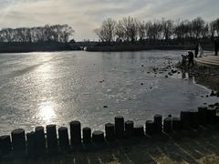 -大兴滨河森林公园