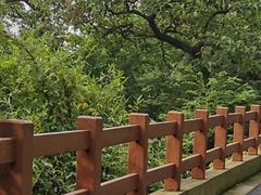 -杭州半山国家森林公园