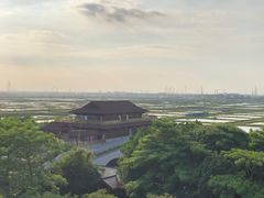 -大湾区中央湿地公园