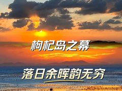 -枸杞岛