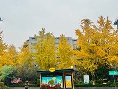 -老号无名包子店(桂花巷店)