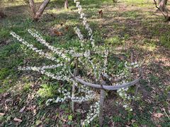 -黑龙江省森林植物园