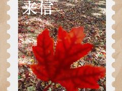 -辽宁大学(崇山校区)